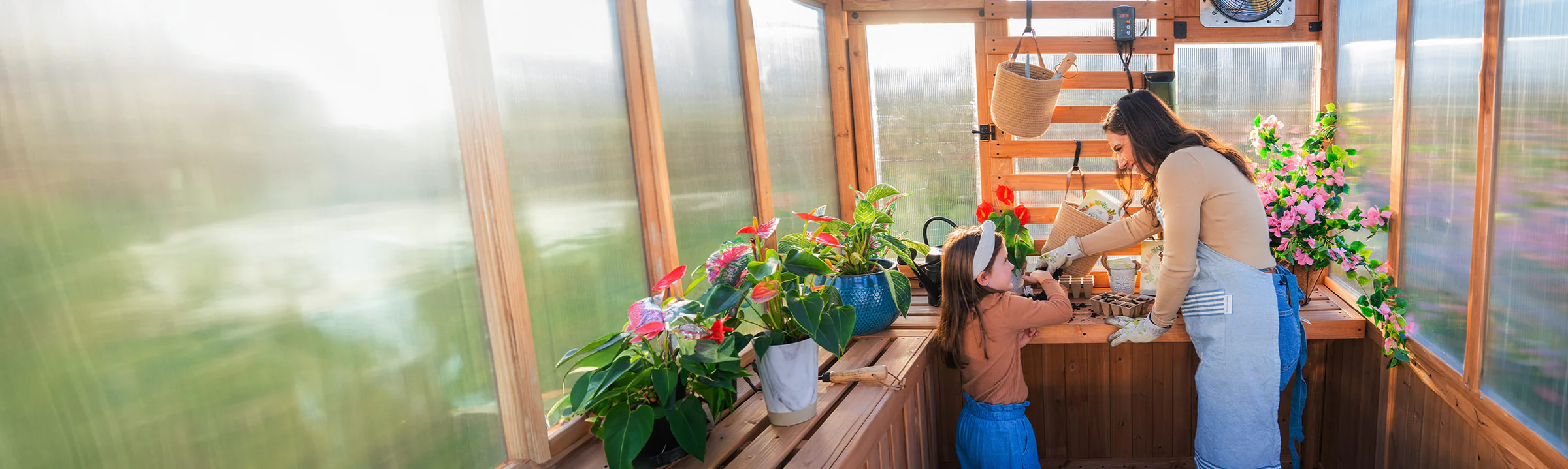 Build Your Ultimate Backyard Oasis